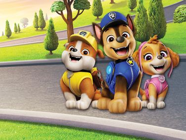 paw patrol pups save a snowboard competition