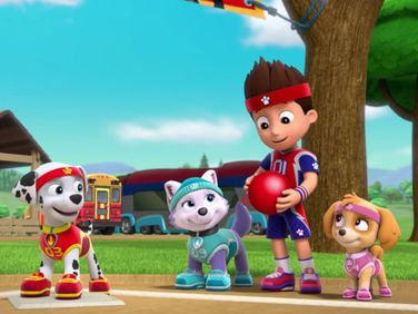 paw patrol all star pups